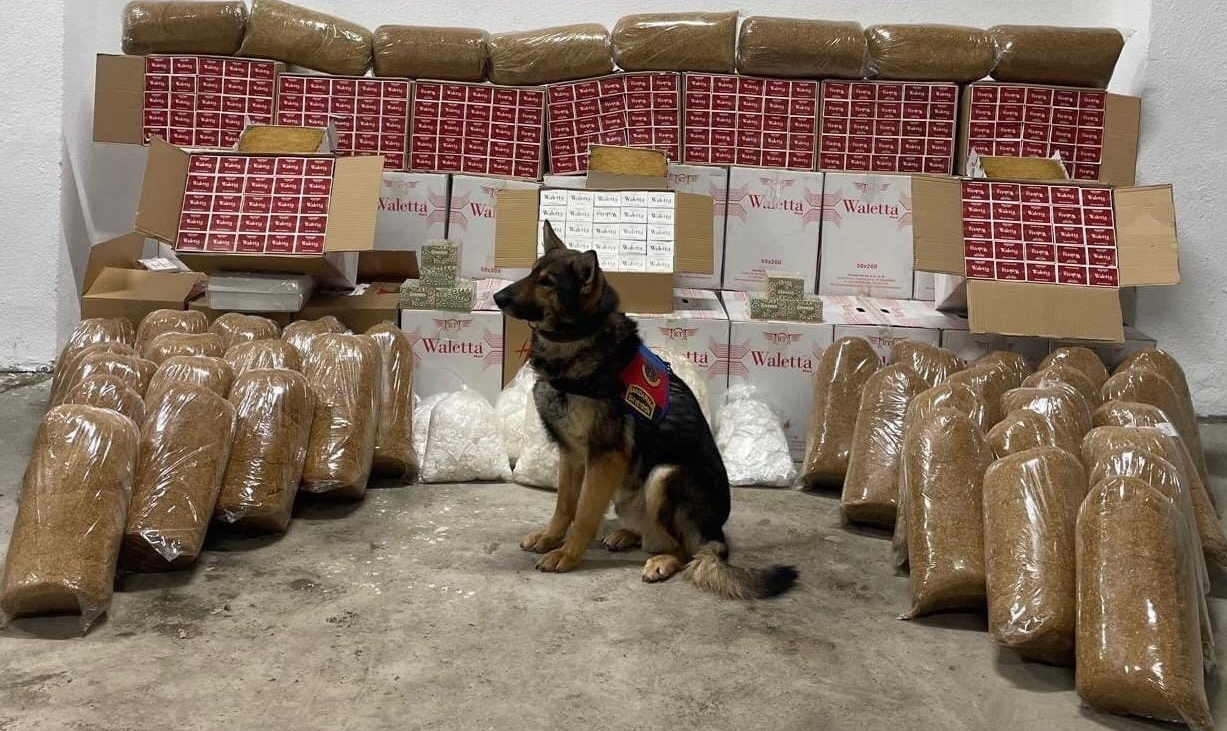 Erzurum'da kaçakçılık operasyonu! Dedektör köpek Zahir'den kaçamadılar