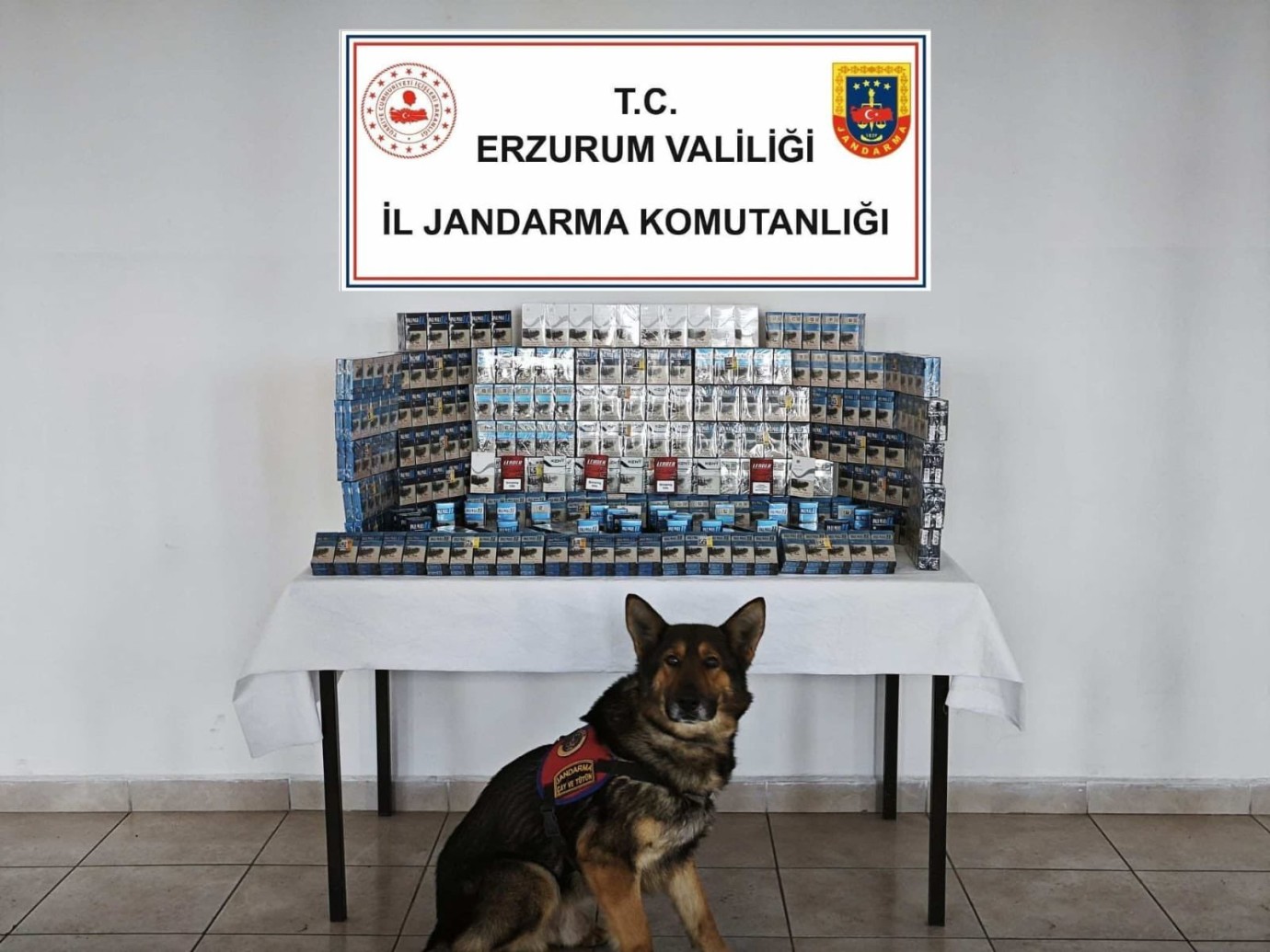 Erzurum jandarmasından kaçakçılık operasyonu: 9 şüpheli tutuklandı