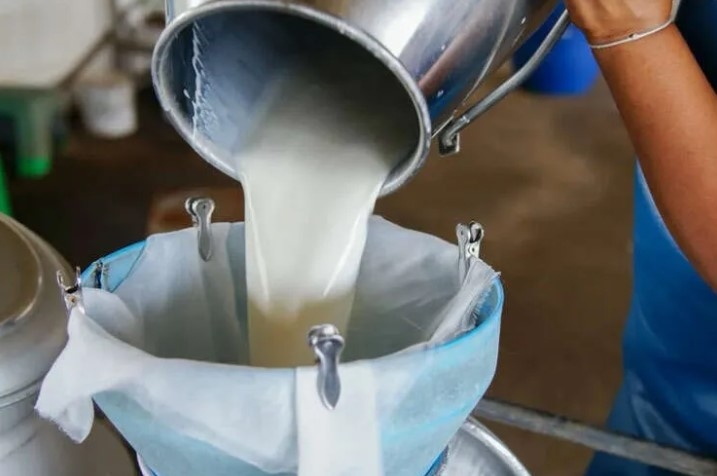 2024'te Çiğ Süt Üretimi 22,5 Milyon Tona Ulaştı!