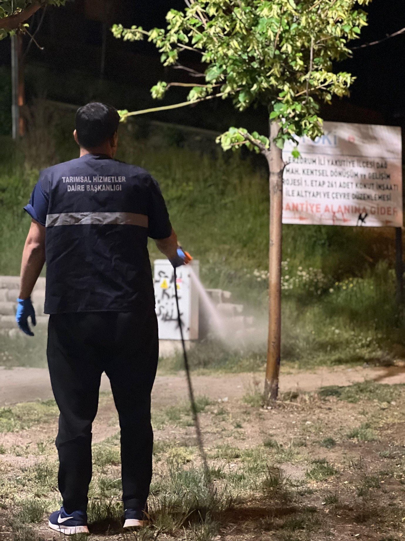 Erzurum Büyükşehir Belediyesi kenelere karşı sahada