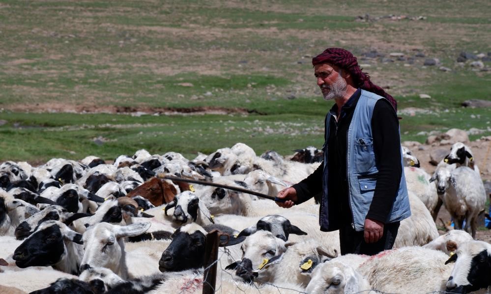 Erzurum'a 127 milyonluk destek