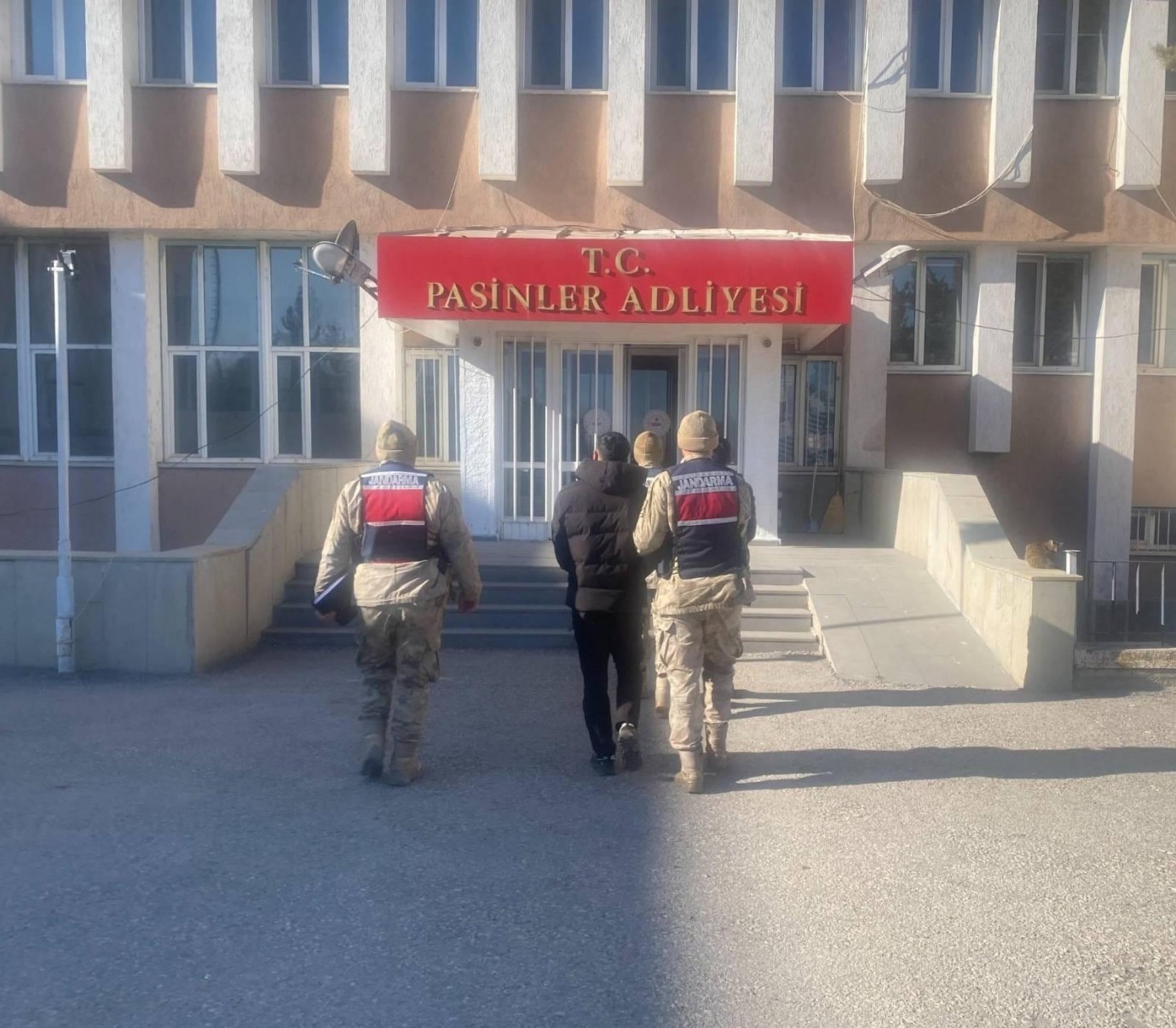 Erzurum'da jandarmadan hayvan hırsızlarına operasyon