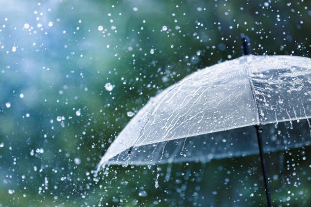 Meteoroloji uyardı: Erzurum'da kuvvetli sağanak bekleniyor